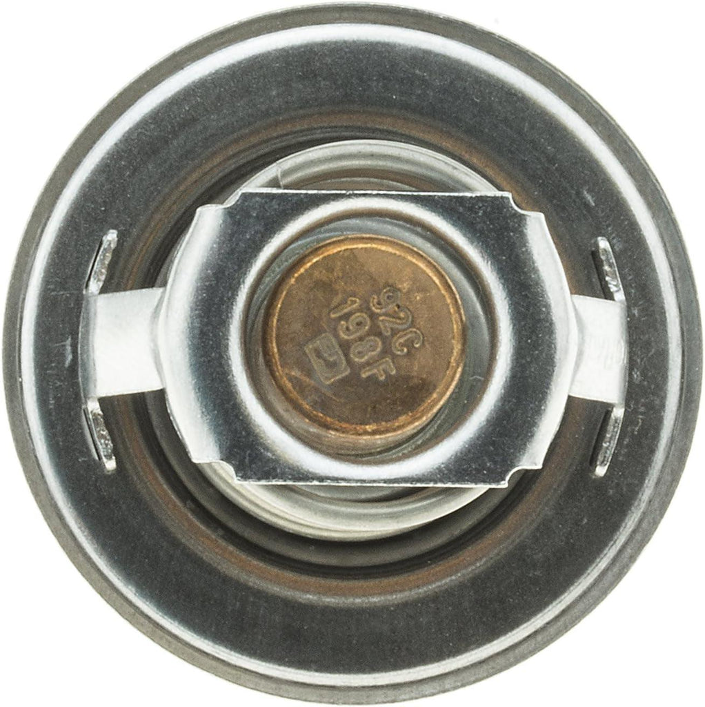 202-198 Thermostat