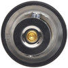 Engine Coolant Thermostat for Express 1500, Express Cargo+More 34769