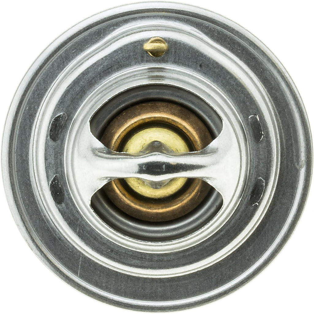 244-198 Thermostat