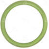 24623 Green round O-Ring