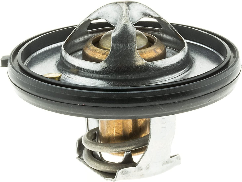 420-180 Thermostat with Seal