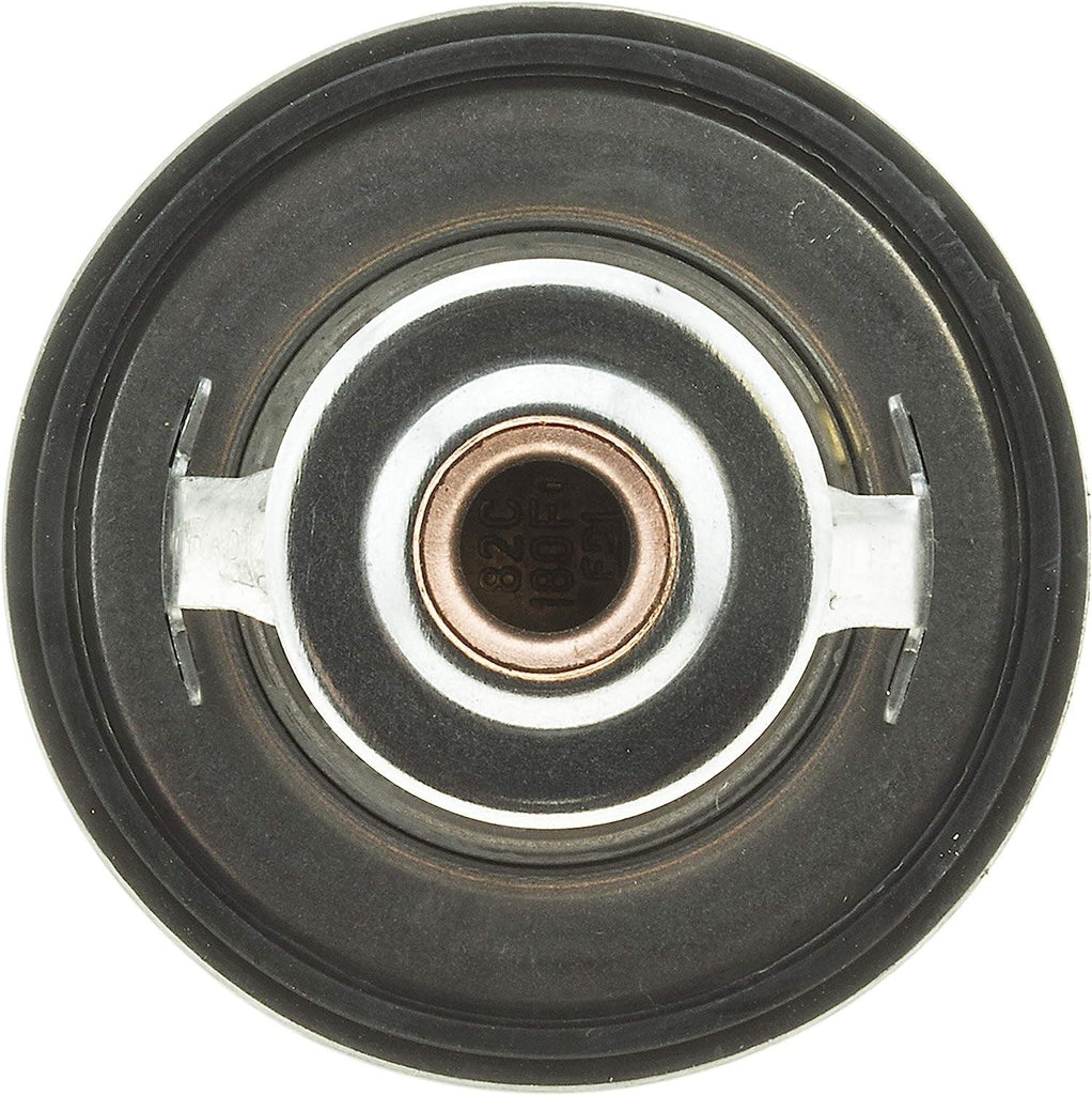33941 Thermostat