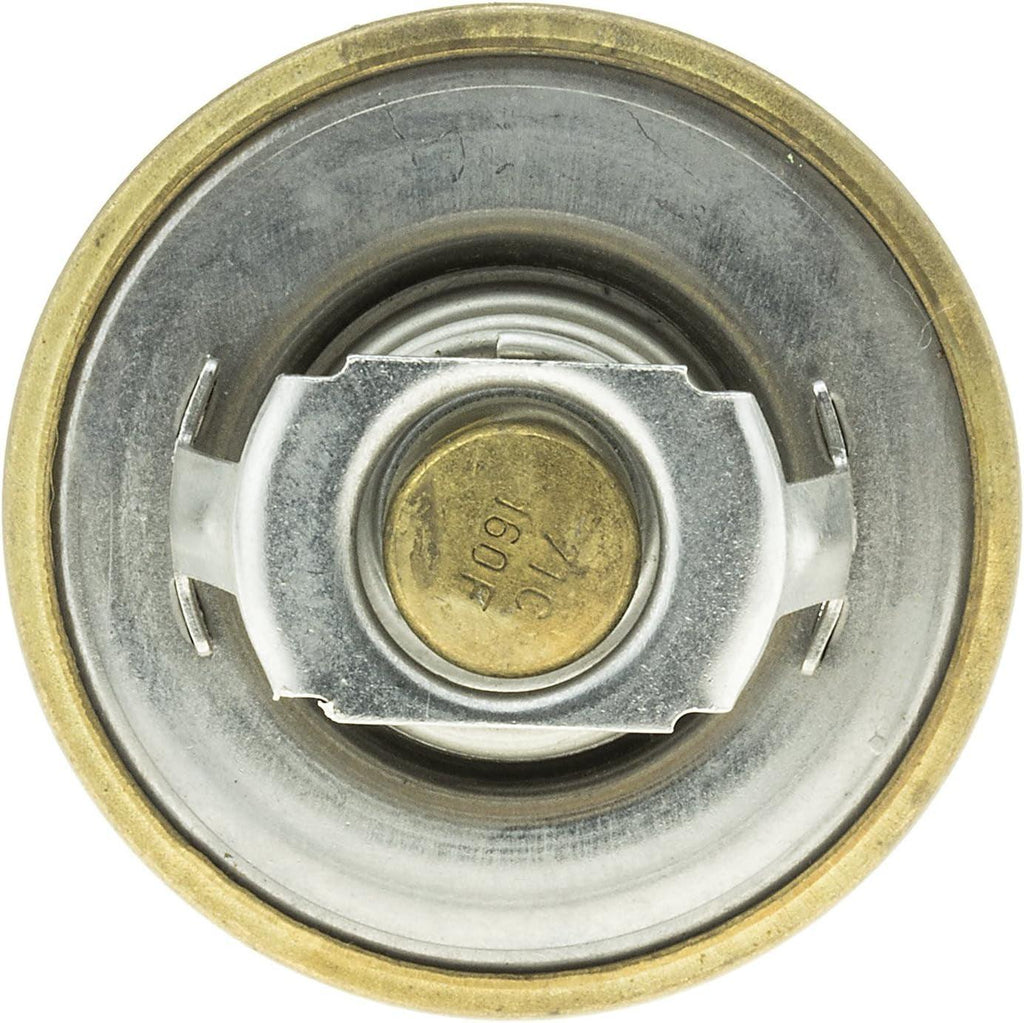 238-160 Thermostat