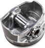 12656876 Engine Piston Kit