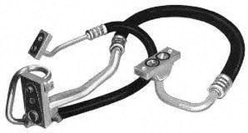 55501 Hose Assembly