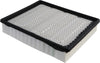 Gold A3085CF Durapack Air Filter (Pack of 1)