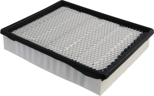 Gold A3085CF Durapack Air Filter (Pack of 1)