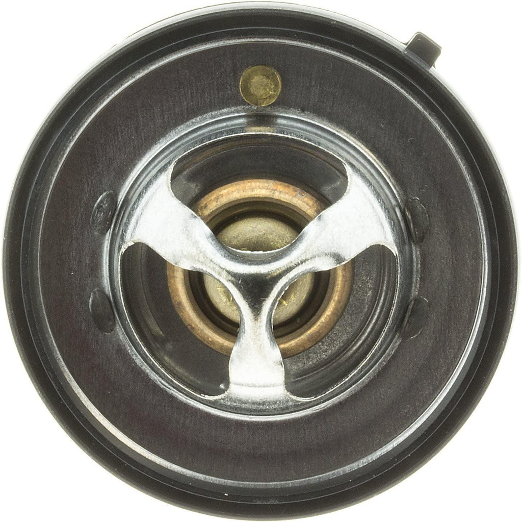 420-180 Thermostat with Seal