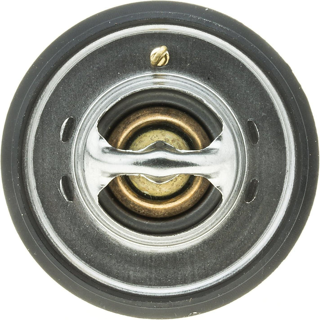 265-160 Thermostat with Seal, Silver