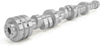 201-300-17 NSR HRT No Springs Required Stage 1 Cam for '09+ Dodge 5.7L HEMI (201-303-17)