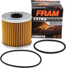 Extra Guard CH6070 Motorcycle/Atv Replacement Oil Filter, Fits Select Kawasaki Models