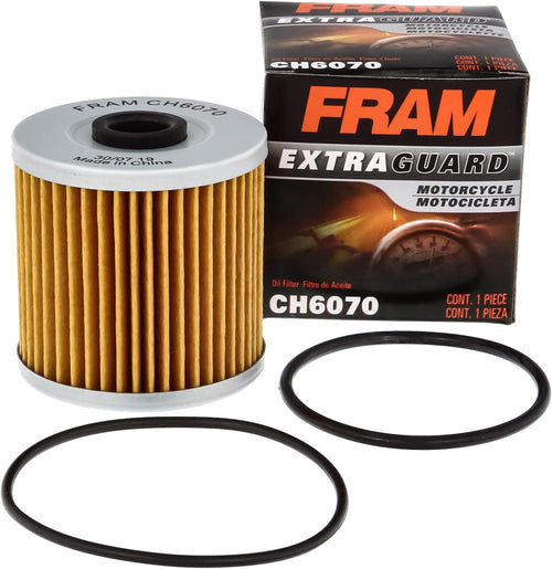 Extra Guard CH6070 Motorcycle/Atv Replacement Oil Filter, Fits Select Kawasaki Models