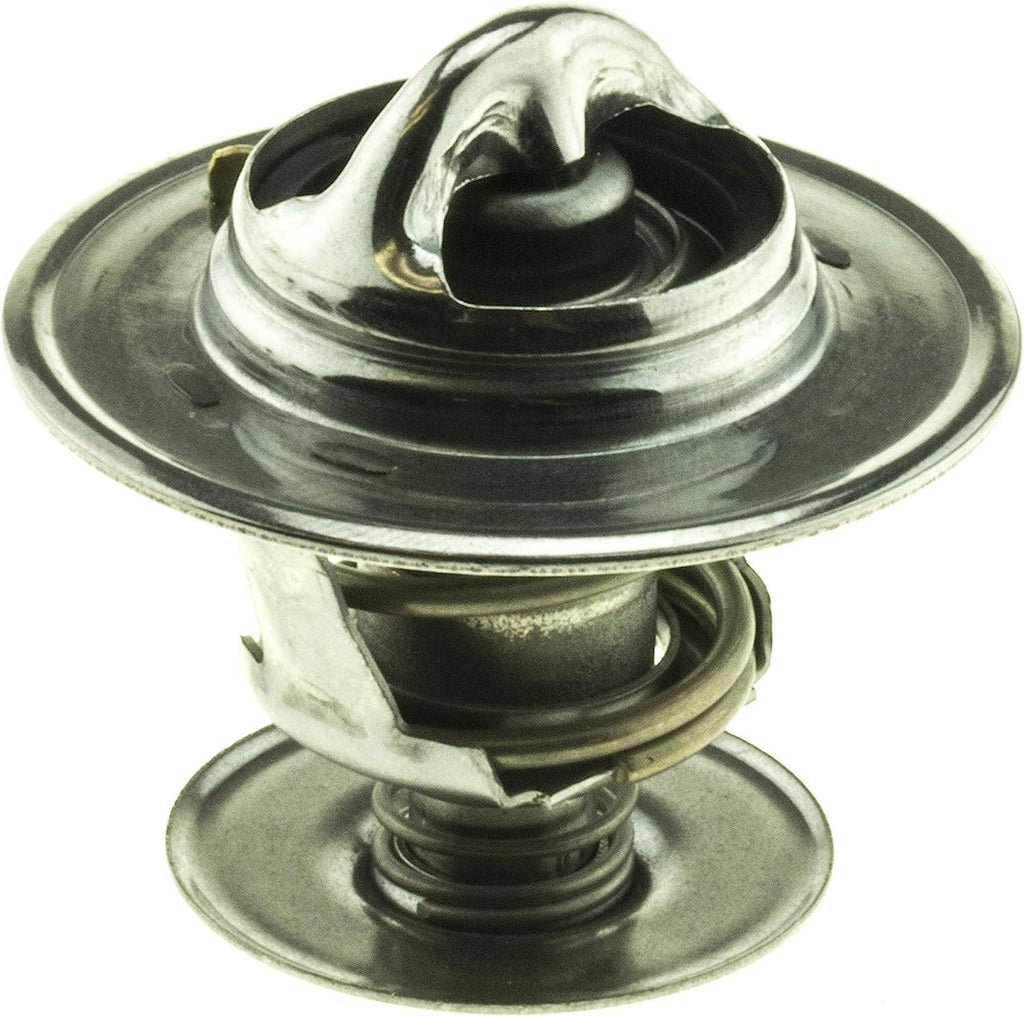 33339S Thermostat