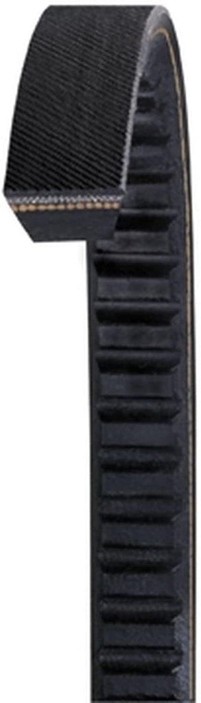 AX48 Gold Label Cog Belt