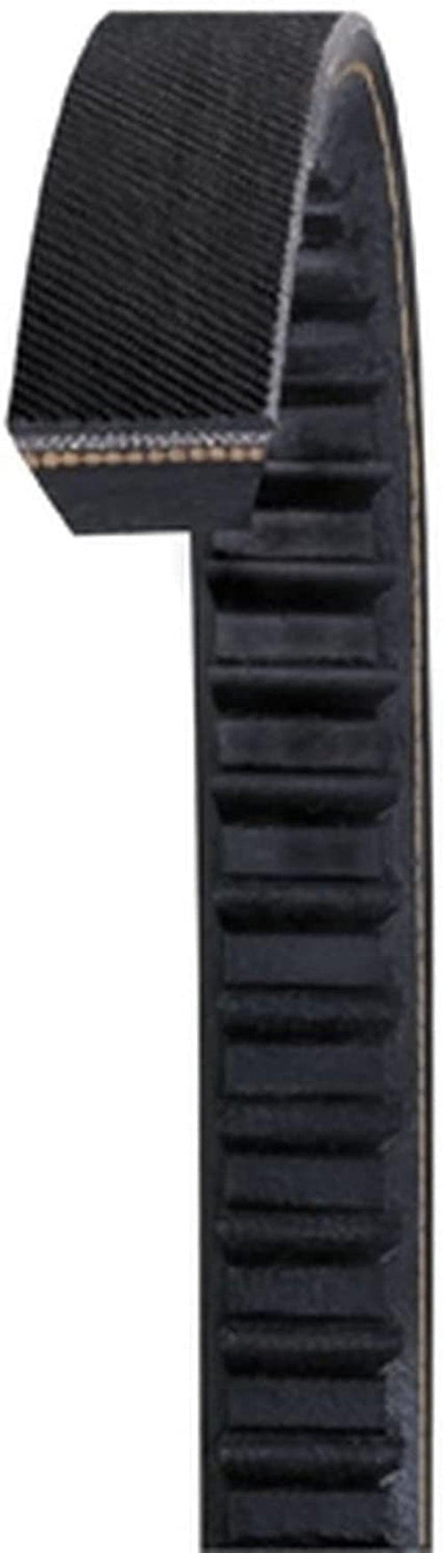 AX48 Gold Label Cog Belt