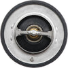143-0789 Thermostat
