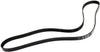 GM Original Equipment 19244956 V-Ribbed Serpentine Belt
