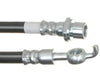 Raybestos Brake Hydraulic Hose for Avalon, Camry BH382365