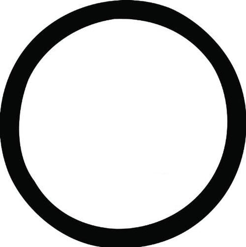 25284 Thermostat Seal