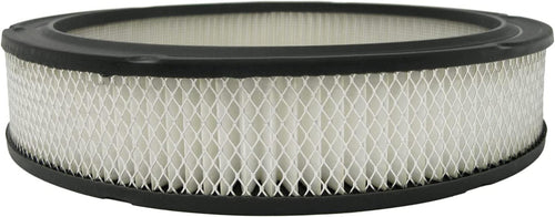 GM Original Equipment A329C Air Filter