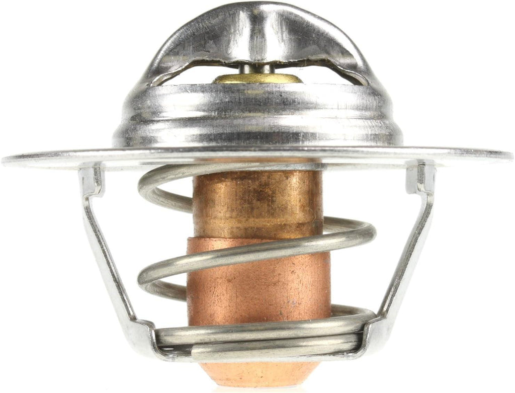 219-180 Thermostat