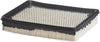 A25373 one Advanced Engine Air Filter Compatible with Select Hyundai and Kia