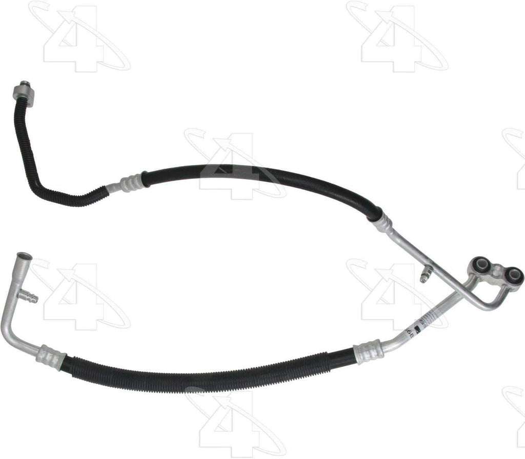 56817 Hose Assembly