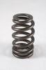 PAC-1283 1.250 Valve Spring
