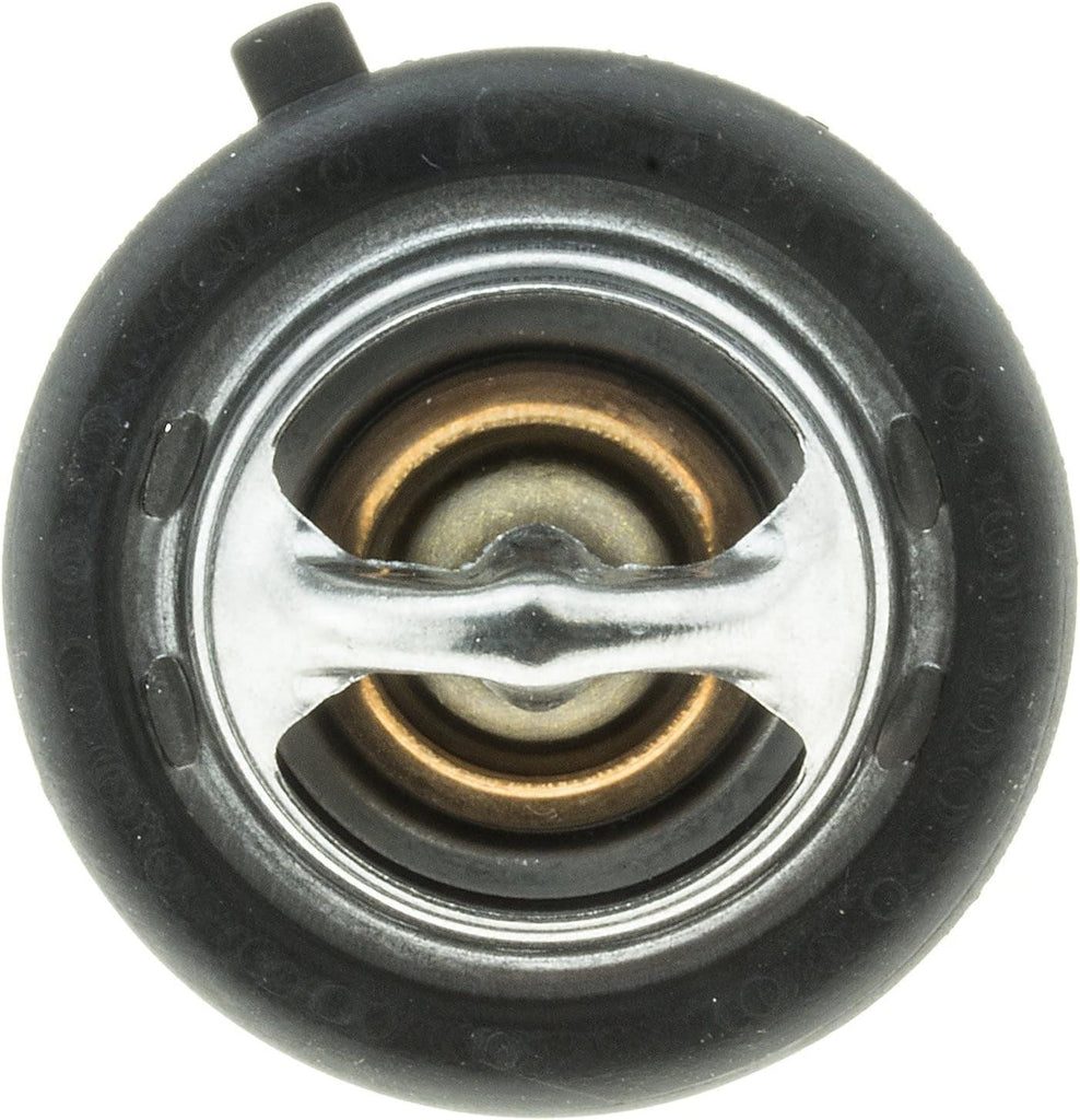 699-180 Thermostat