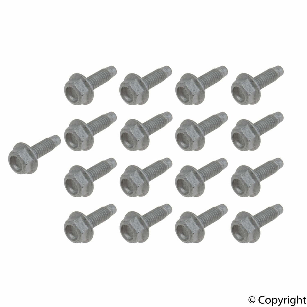 Genuine Automatic Transmission Oil Pan Bolt Set for BMW 24117581606