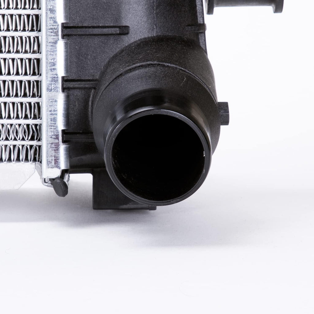 13022 Radiator Compatible with 2008-2010 Ford F- Series Pickup (Hvy Dty)