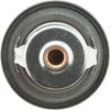 416-180 Thermostat with Seal