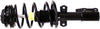 Roadmatic 182203 Strut and Coil Spring Assembly