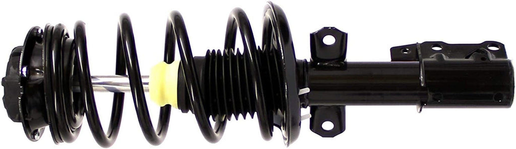Roadmatic 182203 Strut and Coil Spring Assembly