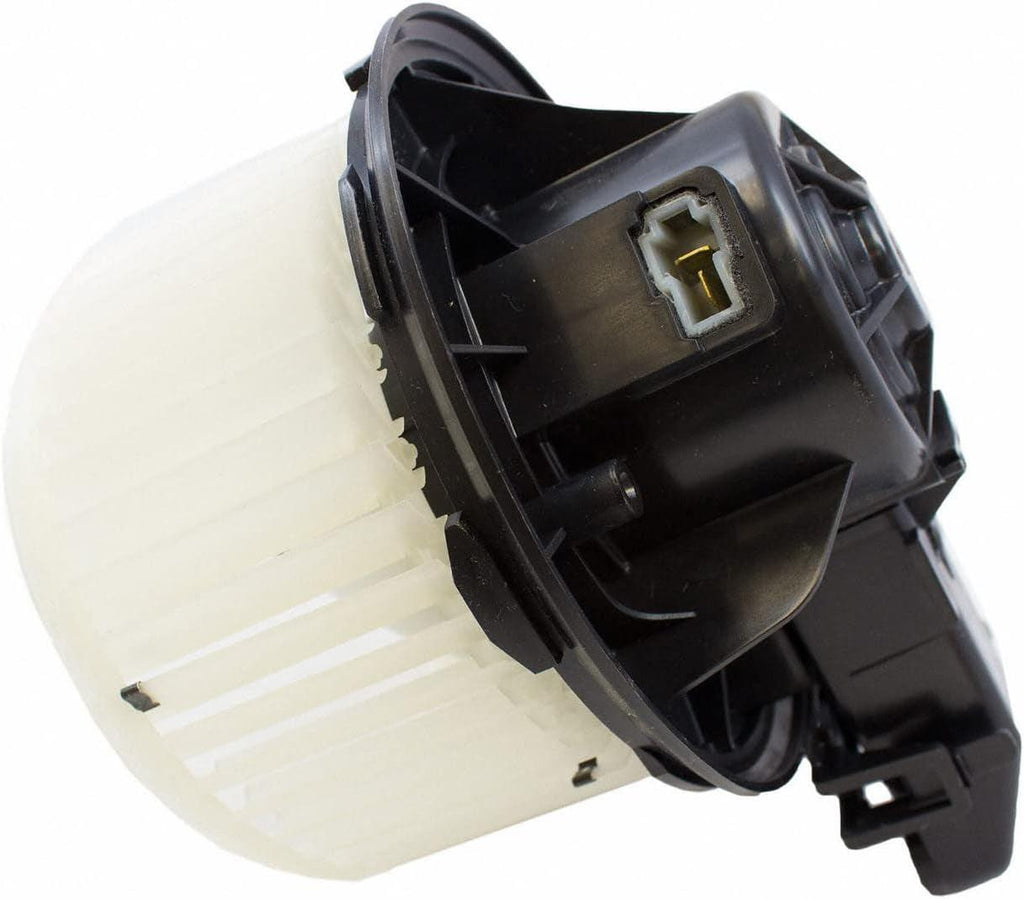 - Fan and Motor Asy (P) (MM1011)