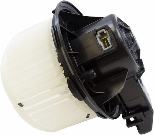 - Fan and Motor Asy (P) (MM1011)
