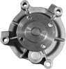 Professional 252-482 Water Pump Kit