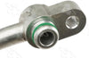 56787 Discharge Line Hose Assembly