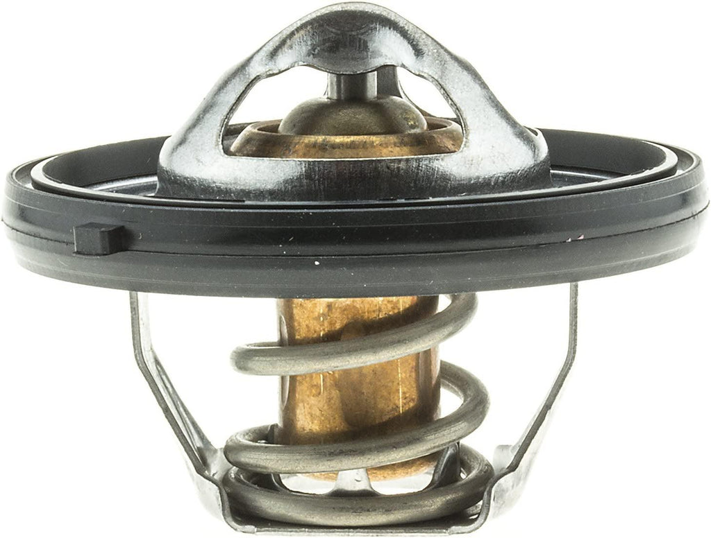 420-180 Thermostat with Seal