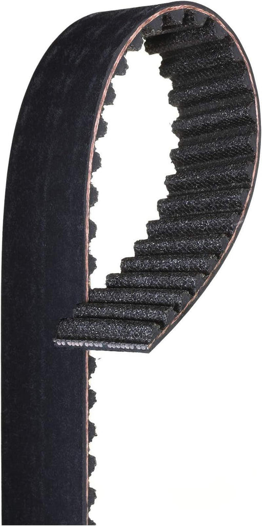 Gold TB305 Timing Belt