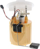 66167 Fuel Pump Module