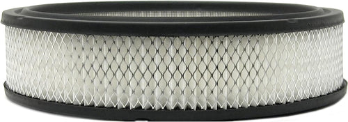 GM Original Equipment A826C Air Filter