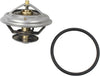 143-0834 Thermostat