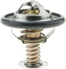 299-170 Thermostat with Seal