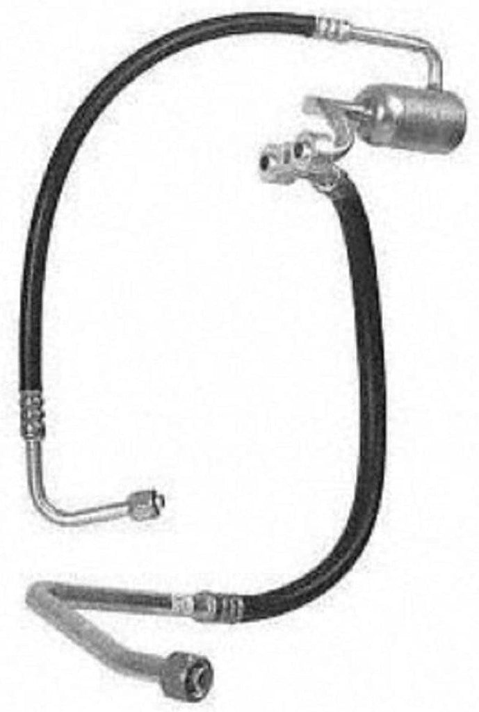 55749 Hose Assembly