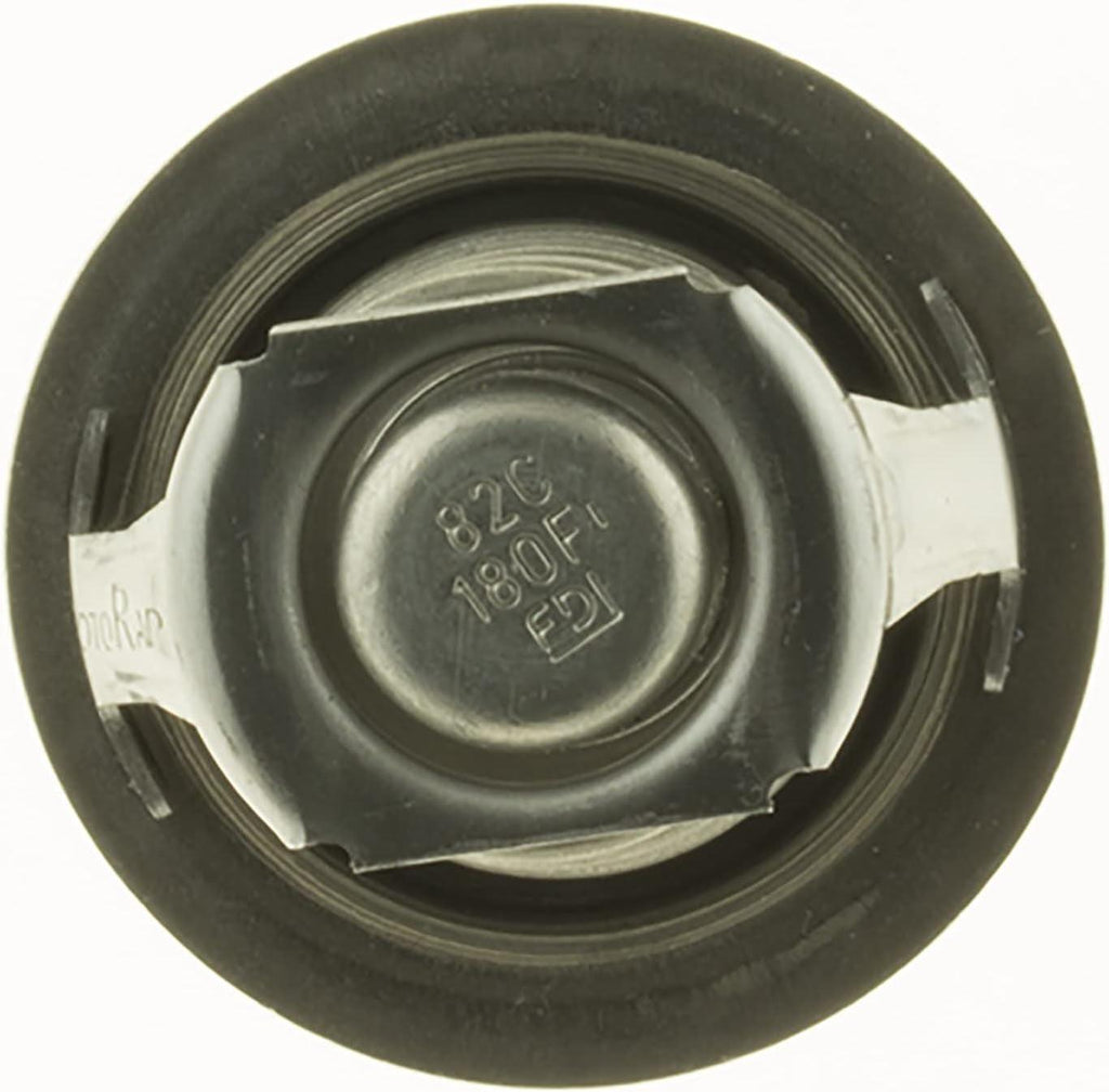 -45028 Superstat Premium Thermostat, Stainless Steel