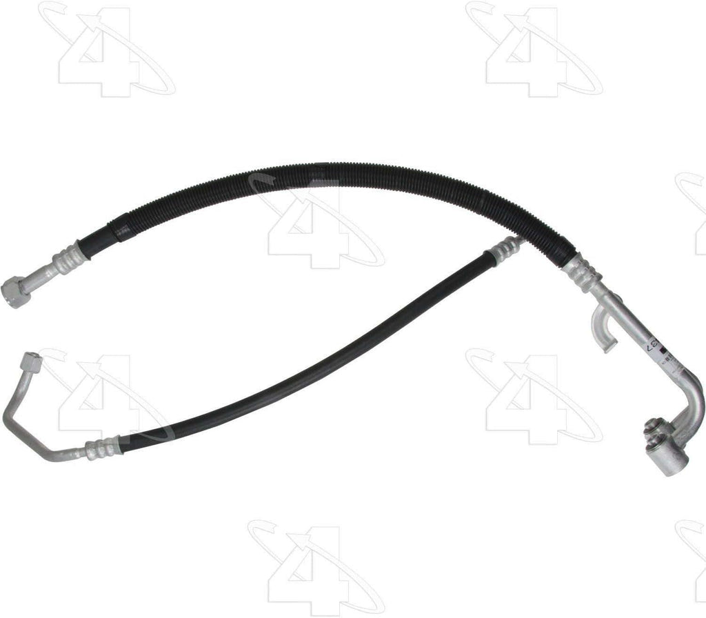 56437 Hose Assembly