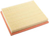 GM Original Equipment 93192885 Air Filter