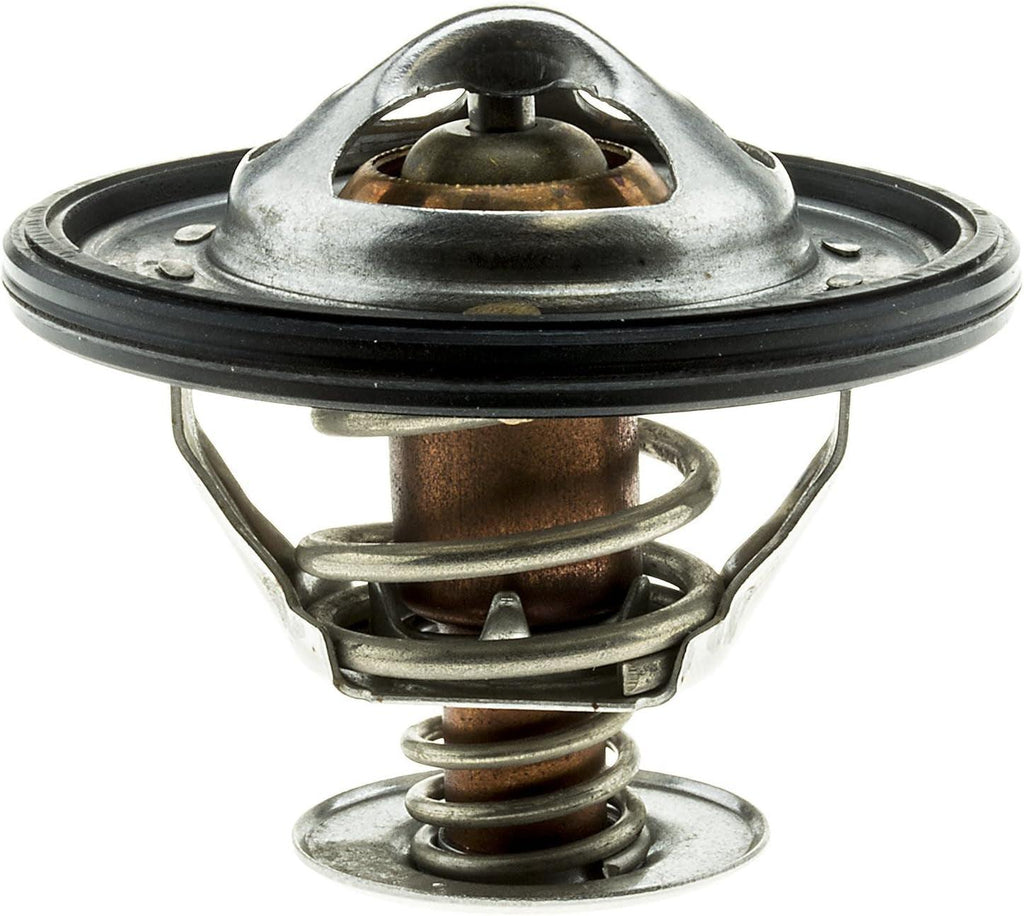 762-194 Thermostat with Seal