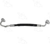 55037 Discharge Line Hose Assembly